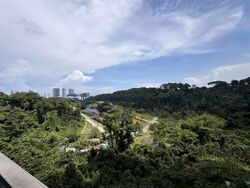 Normanton Park (D5), Apartment #557838231
